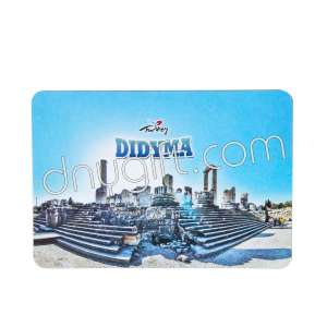 Didyma Picture Magnet 1