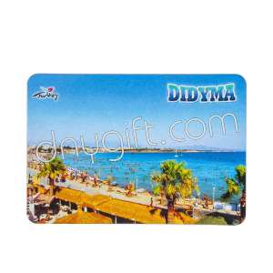 Didyma Picture Magnet 2