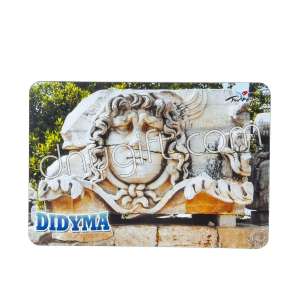 Didyma Picture Magnet 3