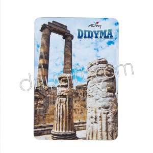Didyma Picture Magnet 4