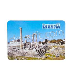 Didyma Picture Magnet 5