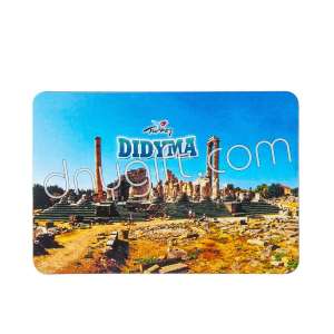 Didyma Picture Magnet 6